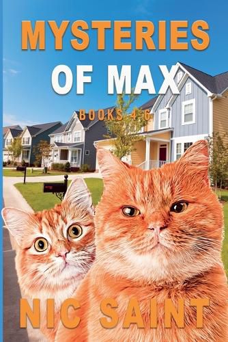 Cover image for Mysteries of Max