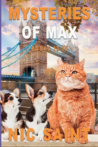 Cover image for Mysteries of Max