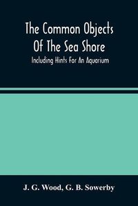 Cover image for The Common Objects Of The Sea Shore: Including Hints For An Aquarium