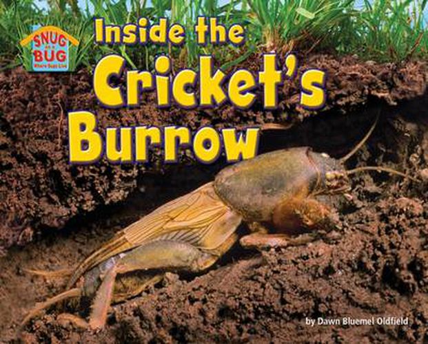 Cover image for Inside the Cricket's Burrow