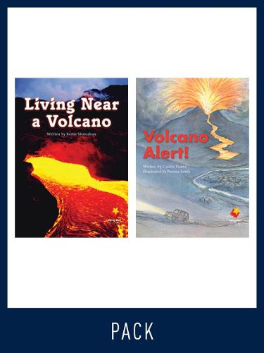 Cover image for Flying Start Guided Reading Level 16, Pack 3: Paired student books (6x6) and lesson plan (1)