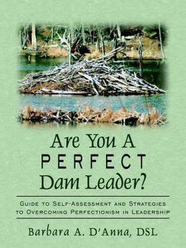 Cover image for Are You A Perfect Dam Leader?: Guide to Self-Assessment and Strategies to Overcoming Perfectionism in Leadership