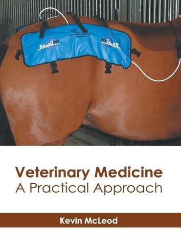 Cover image for Veterinary Medicine: A Practical Approach