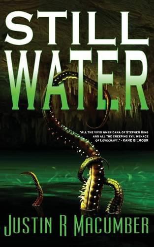 Cover image for Still Water