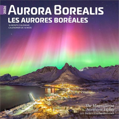 Cover image for Aurora Borealis 2026 Wall Calendar