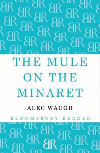 Cover image for The Mule on the Minaret: A Novel about the Middle East