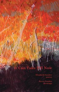 Cover image for It Can Take Till Now