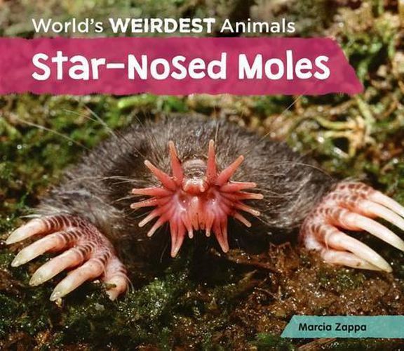 Cover image for Star-Nosed Moles