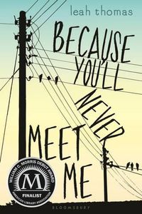 Cover image for Because You'll Never Meet Me