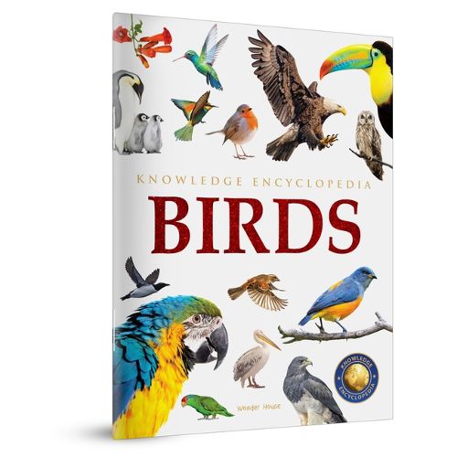 Cover image for Animals