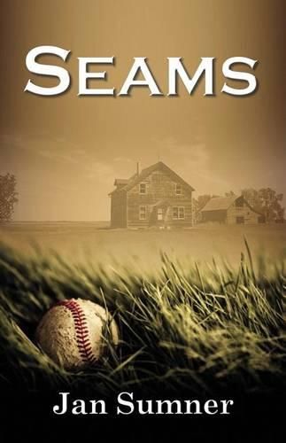 Cover image for Seams