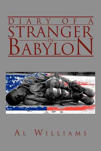 Cover image for Diary of a Stranger in Babylon