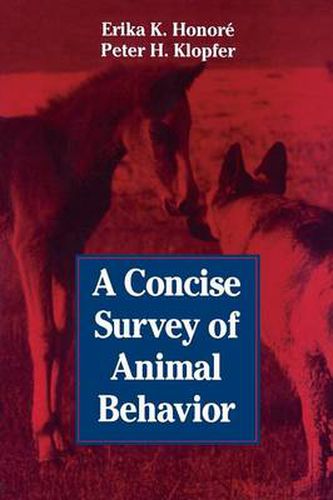 Cover image for A Concise Survey of Animal Behavior