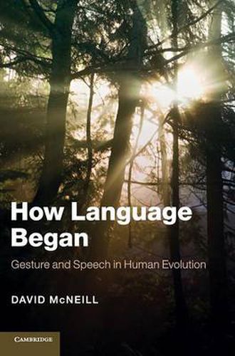 Cover image for How Language Began: Gesture and Speech in Human Evolution