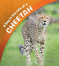 Cover image for A Day in the Life of a Cheetah