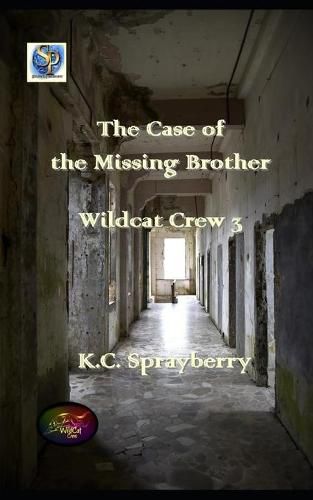 Cover image for The Case of the Missing Brother