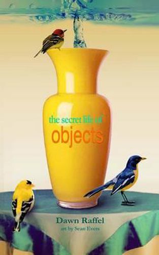 Cover image for The Secret Life of Objects