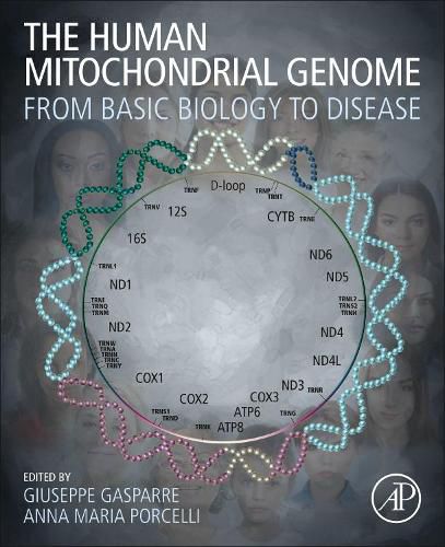 Cover image for The Human Mitochondrial Genome
