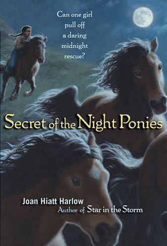 Cover image for Secret of the Night Ponies