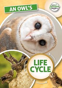 Cover image for An Owl's Life Cycle