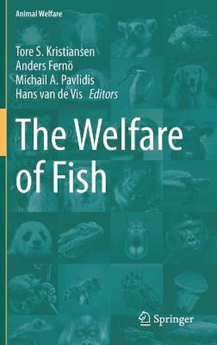 Cover image for The Welfare of Fish