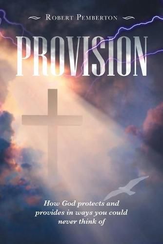 Cover image for Provision