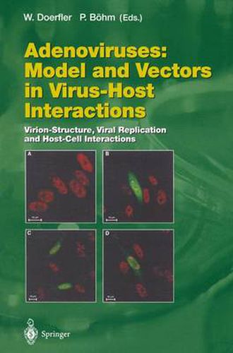 Cover image for Adenoviruses: Model and Vectors in Virus-Host Interactions: Virion-Structure, Viral Replication and Host-Cell Interactions