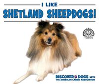 Cover image for I Like Shetland Sheepdogs!