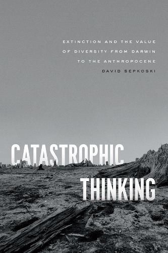 Cover image for Catastrophic Thinking