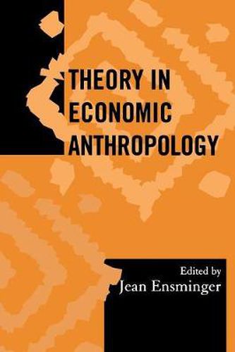 Cover image for Theory in Economic Anthropology