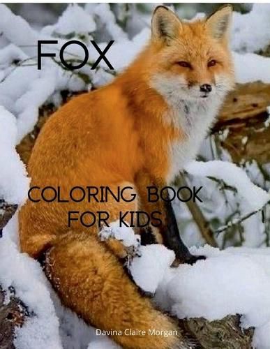 Fox Coloring Book for Kids