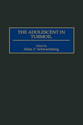 Cover image for The Adolescent in Turmoil