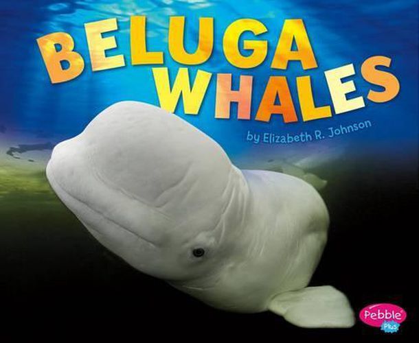 Cover image for Beluga Whales