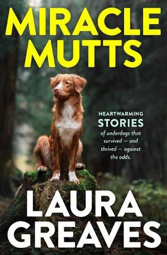 Cover image for Miracle Mutts