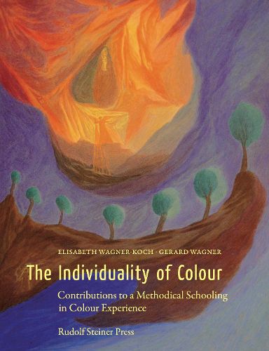 Cover image for The Individuality of Colour