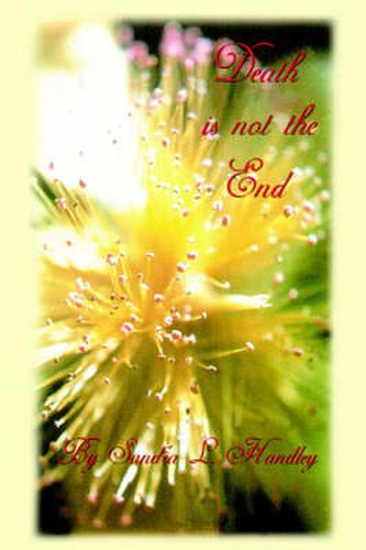 Cover image for Death is Not the End