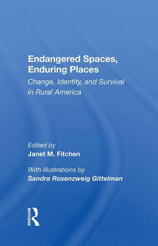 Cover image for Endangered Spaces, Enduring Places: Change, Identity, and Survival in Rural America