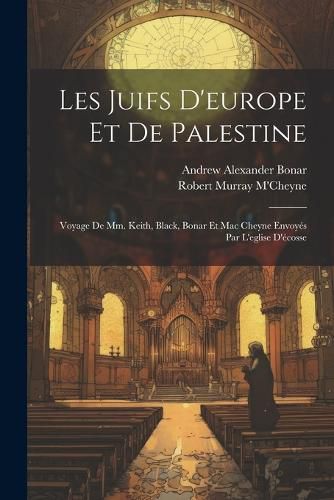 Cover image for Les Juifs D'europe Et De Palestine
