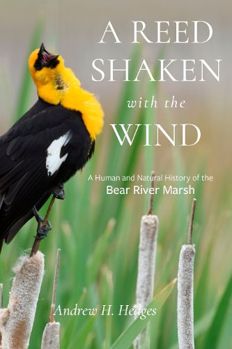 Cover image for A Reed Shaken with the Wind