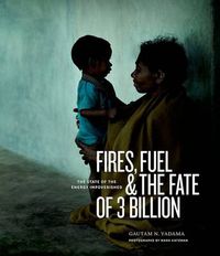 Cover image for Fires, Fuel, and the Fate of 3 Billion: The State of the Energy Impoverished