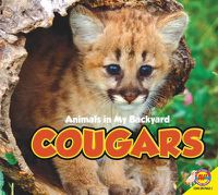 Cover image for Cougars