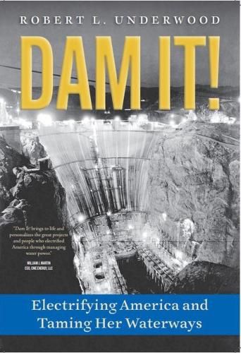 Cover image for Dam It!