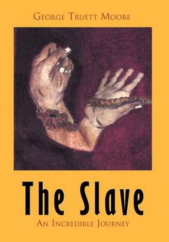 Cover image for The Slave: An Incredible Journey