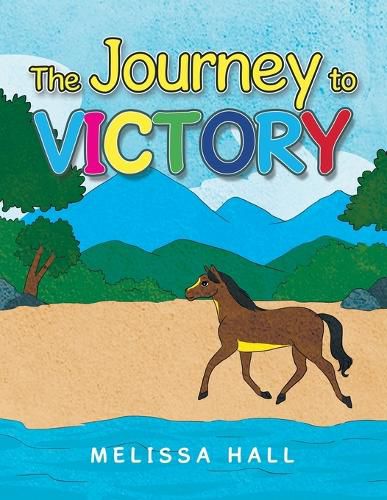 Cover image for The Journey to VICTORY