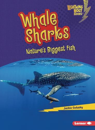 Cover image for Whale Sharks