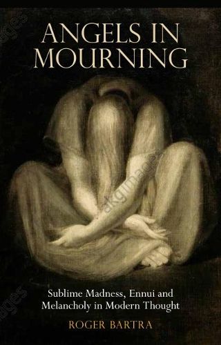 Angels in Mourning: Sublime Madness, Ennui and Melancholy in Modern Thought