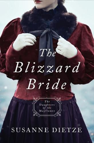 Cover image for Blizzard Bride