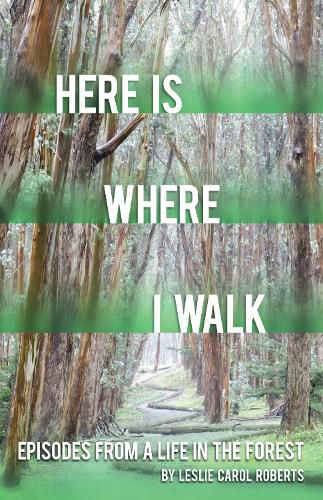 Here is Where I Walk: Episodes From a Life in the Forest