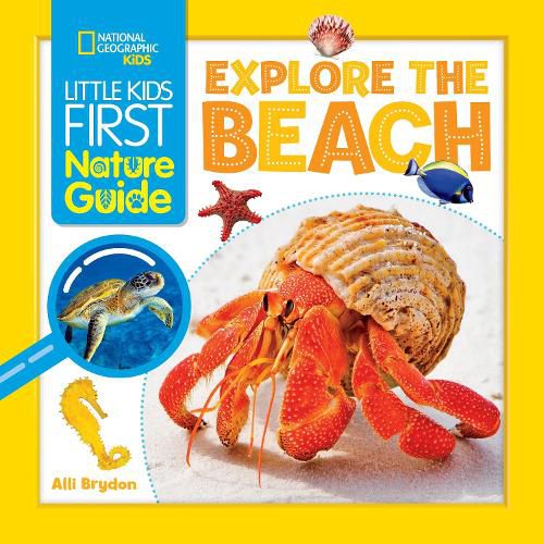 Cover image for Explore the Beach