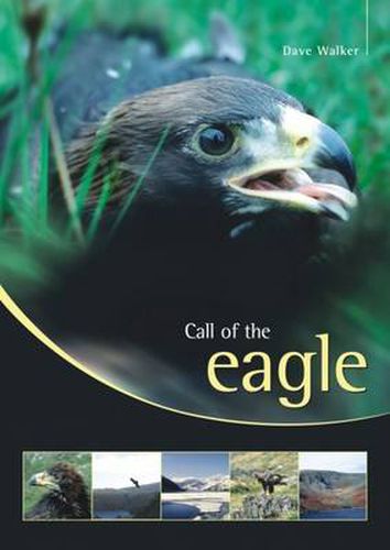 Cover image for Call of the Eagle